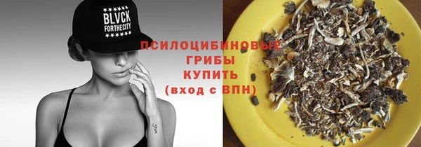 соль ск Алзамай