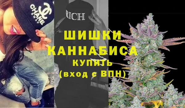 соль ск Алзамай