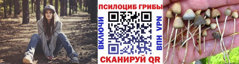 Псилоцибиновые грибы прущие грибы  Харовск 
